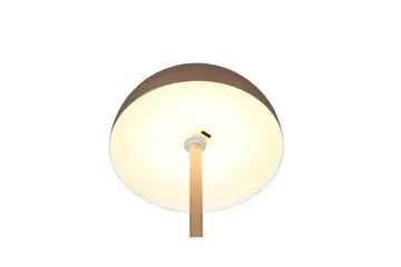 Bordslampa TRIO Munoz Kaffebrun - Kaffebrun - Products - Belysning - Lampor & belysning inomhus - Sovrumslampa - Sänglampa - Sängbordslampa