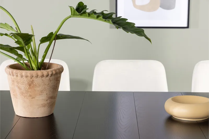 Astrid Matgrupp 200 cm Rektangulär med 6 Rosie stolar - Beige - Products - Möbler - Bord & matgrupp - Matgrupp