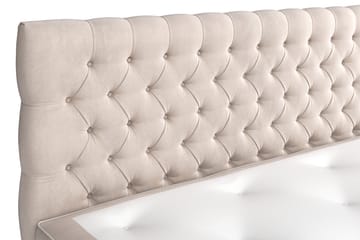 Celine Kontinentalsäng 160x200cm - Beige/Sammet - Products - Möbler - Säng - Kontinentalsäng