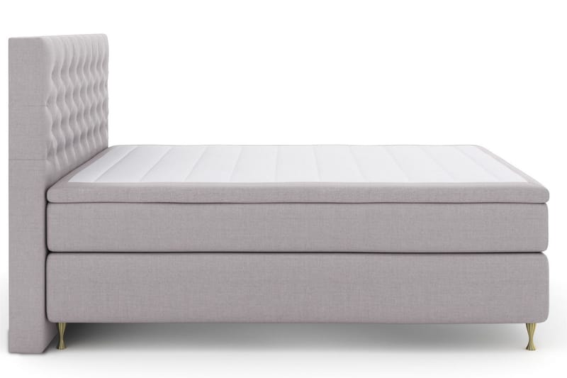 Select No 6 Kontinentalsäng 210x210 Fast Watergel - Ljusgrå/Guld - Products - Möbler - Säng - Kontinentalsäng
