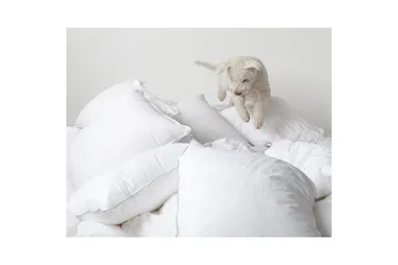 Kudde Hotellkudde - 60 x 80 cm - Products - Textil & mattor - Sängkläder