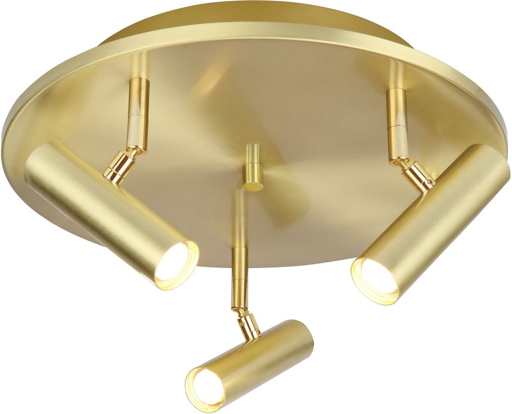 Spotlight Artic - Matt messing