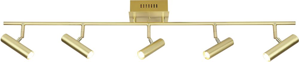 Spotlight Artic - Matt messing