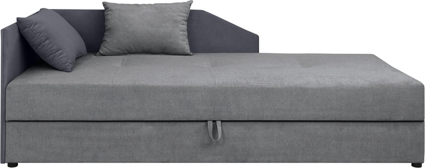 Kelo dagseng - Grå Kelo dagseng - Grå