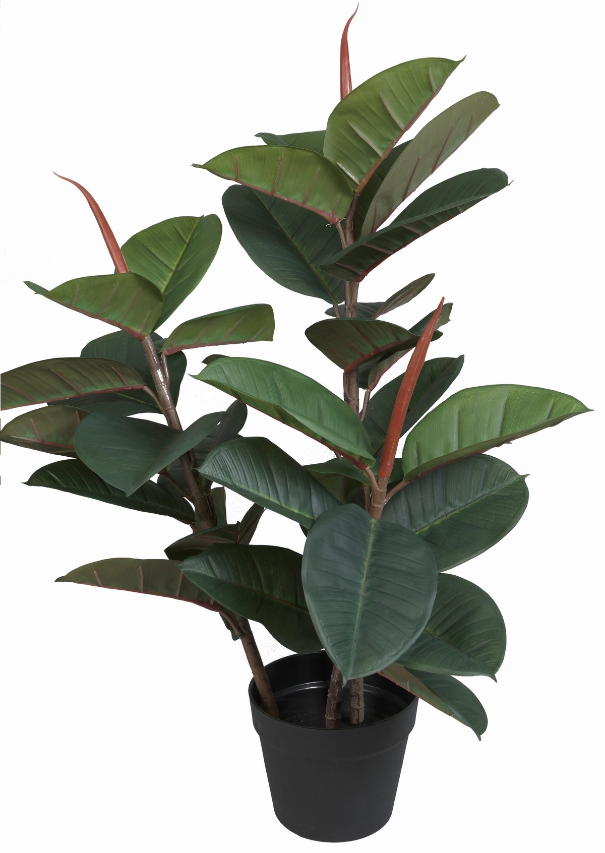 Kunstig plante - Gummifikus H80 cm