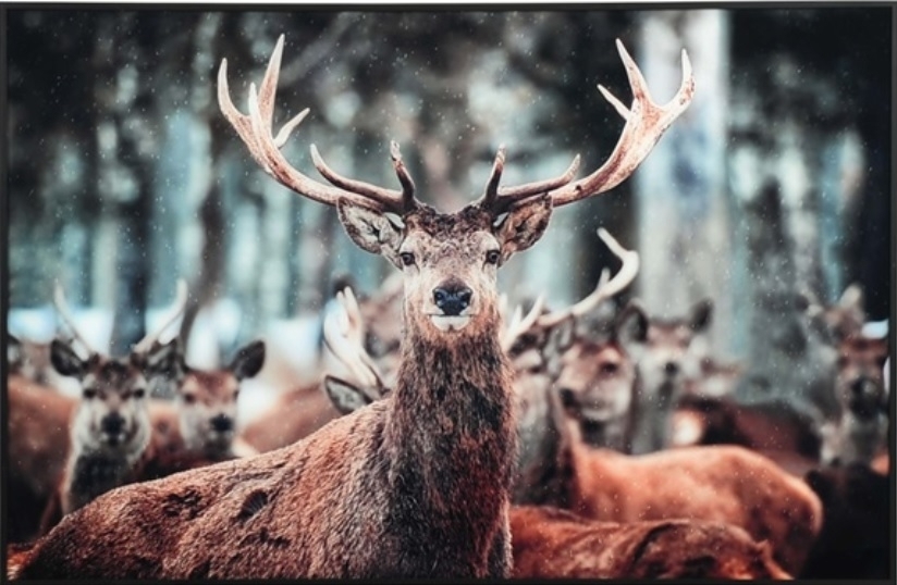 Glassmaling - Hjort - 60x90 cm Glassmaling - Hjort - 60x90 cm