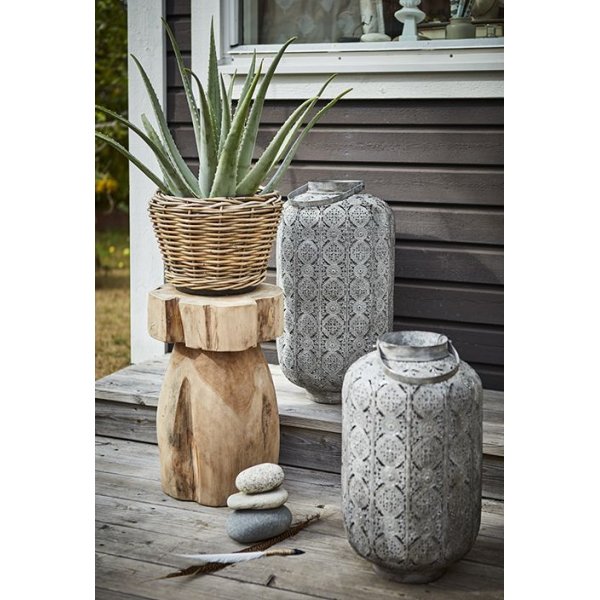 Riviera krukke - Rotting