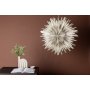 Seal Advent Star 80 cm - Beige