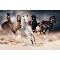 Glassbilde Horses - 120x80 cm Glassbilde Horses - 120x80 cm