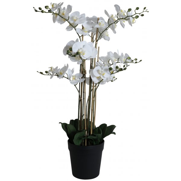 Kunstig plante - Orkid 9 stengler H90 cm - Hvit