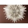 Seal Advent Star 80 cm - Beige