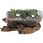 San Marino vanndrpevase - Teak/Glass - 26