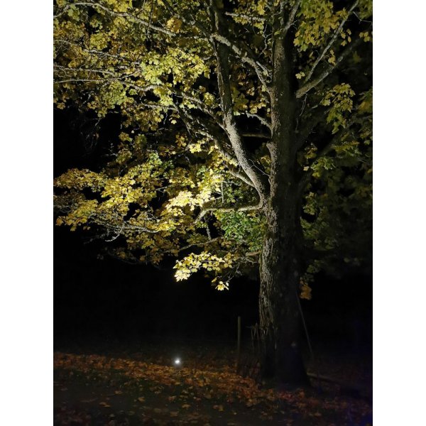 Mark-spotlight Backe - Svart