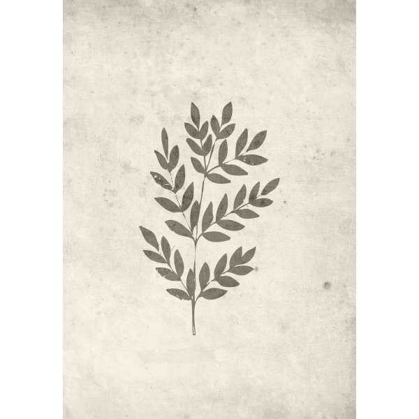 Plakat - Vrblad
