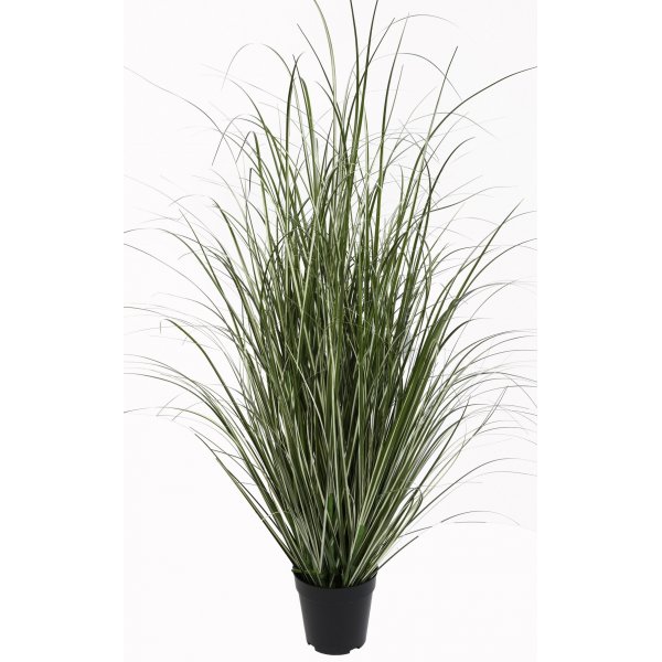Kunstig plante - Krongress H50cm