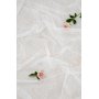Bellis gardin - Hvit