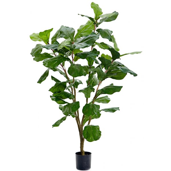 Fiolinfiken kunstig plante
