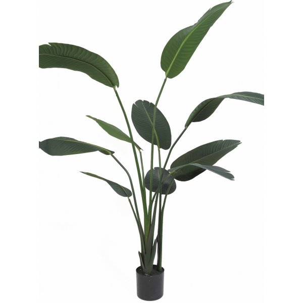 Kunstig plante - Papegyeblomst H110 cm