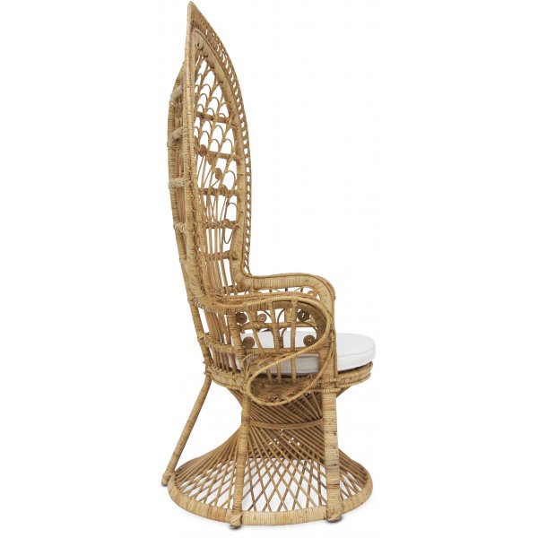 Påfugl lenestol - Naturrotting + Flekkfjerner for møbler Påfugl lenestol - Naturrotting + Flekkfjerner for møbler