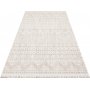 Codica 02 teppe