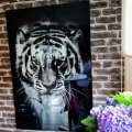 Kundebilde Glassbilde Tiger - 120x80 cm