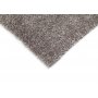 Ryematte Fidelma - Slv