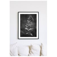 Posterworld 50x70 cm - Motiv Gress Posterworld 50x70 cm - Motiv Gress