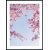 Posterworld - Motiv blomst p himmelen - 70x100 cm