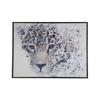 Bilde Gepard - 80x60 cm Bilde Gepard - 80x60 cm