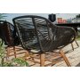 Ribe stol gr + Flekkfjerner for mbler