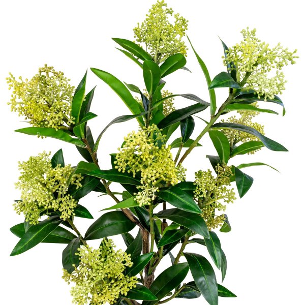 Skimmia tre kunstig plante - Grnn
