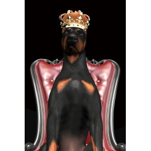 Dog in crown glassplate - 80x120 cm