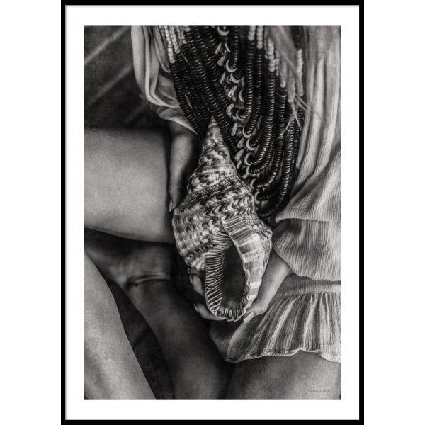 SEASHELL - Plakat 50x70 cm