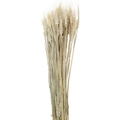 Trket hvete kunstig plante - Beige