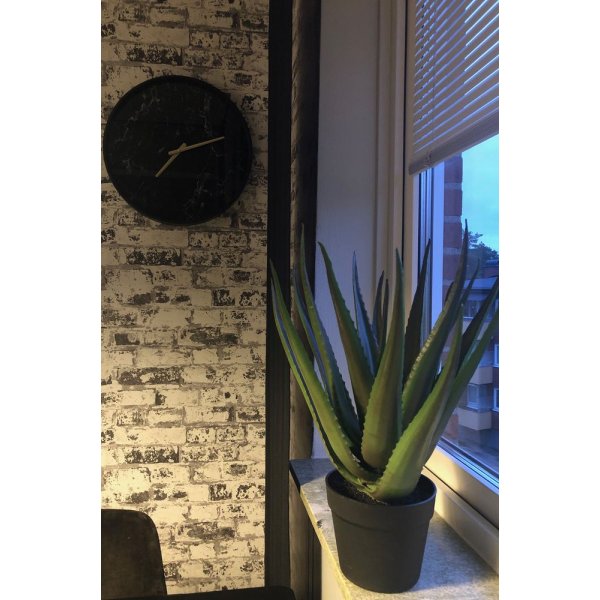 Sunday aloveraplante 50 cm - Svart Sunday aloveraplante 50 cm - Svart