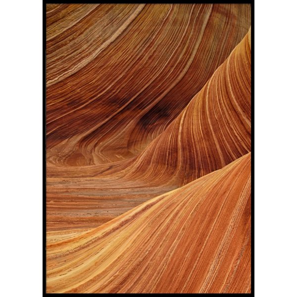 FORMS - Plakat 50x70 cm
