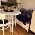 Kundebilde Sture sittebenk med hjul & oppbevaring 90 - Hvit