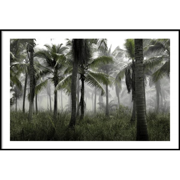 PALMTREES FOG - Plakat 50x70 cm