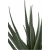 Aloe Vera kunstig plante - H:51 cm - Grnn