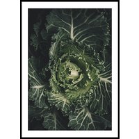 LETTUCE - Plakat 50x70 cm LETTUCE - Plakat 50x70 cm
