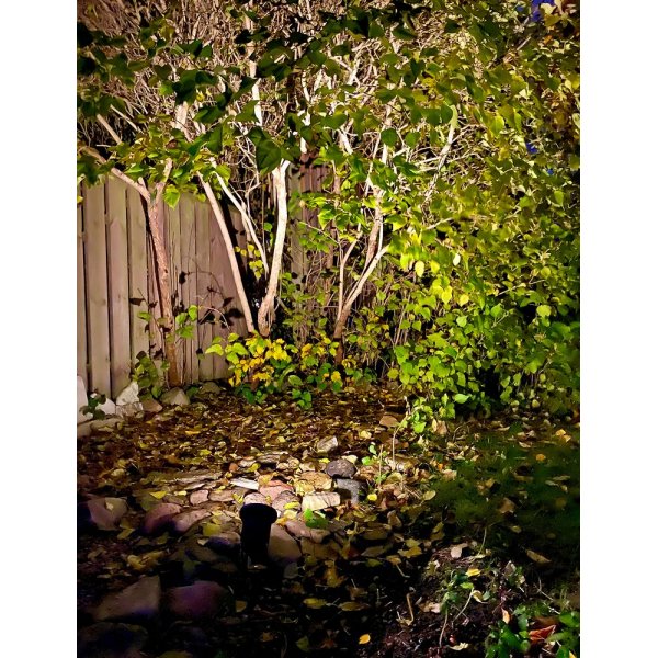 Mark-spotlight Backe - Svart