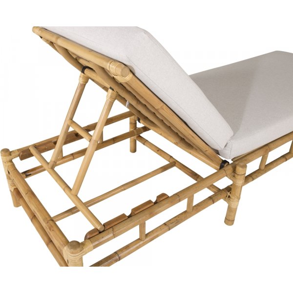 Cane solseng - Gr/rotting