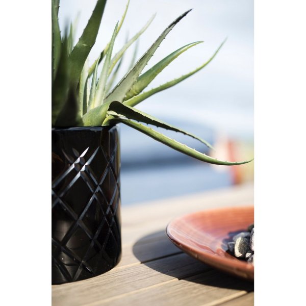 Sunday aloveraplante 42 cm - Svart