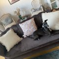 Kundebilde Musslan 3-seters sofa - Brun / messing