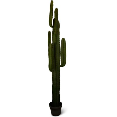 Kunstplante - Kaktus 160 cm