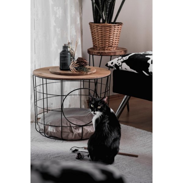 Cat sofabordsett - Furu/svart Cat sofabordsett - Furu/svart