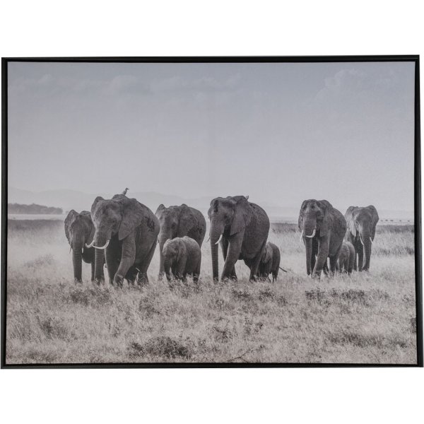 Tavla Elefanter - 80x60 cm