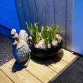Kundebilde Hagekunst sittende Høne - H36 cm: Veldig fornøyd med denne flotte...