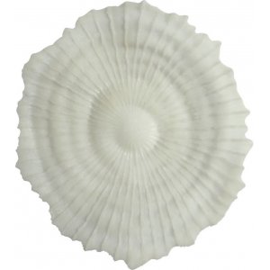 Korall väggdekoration D 48 cm - Ljus Korall väggdekoration D 48 cm - Ljus