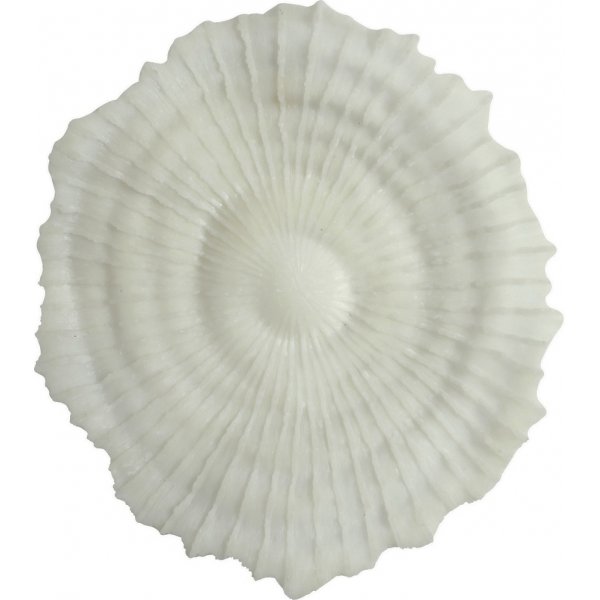 Korall vggdekoration D 48 cm - Ljus